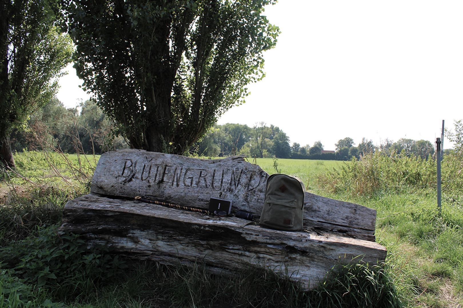 Eine Bank im Blütengrund