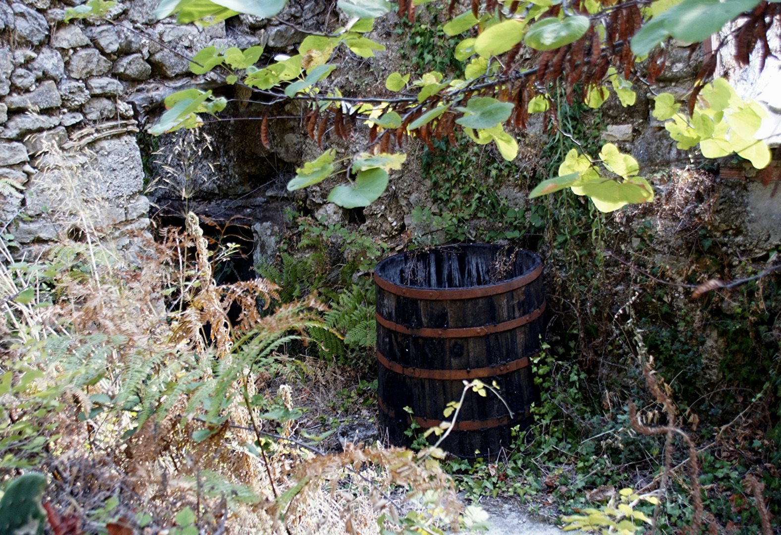 Ländliche Leben - Korfu