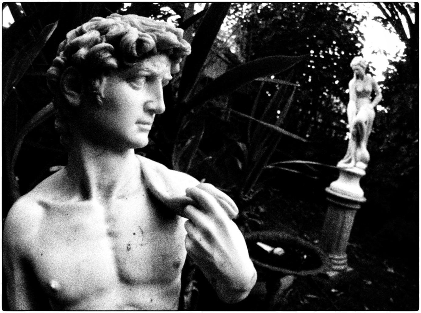 David