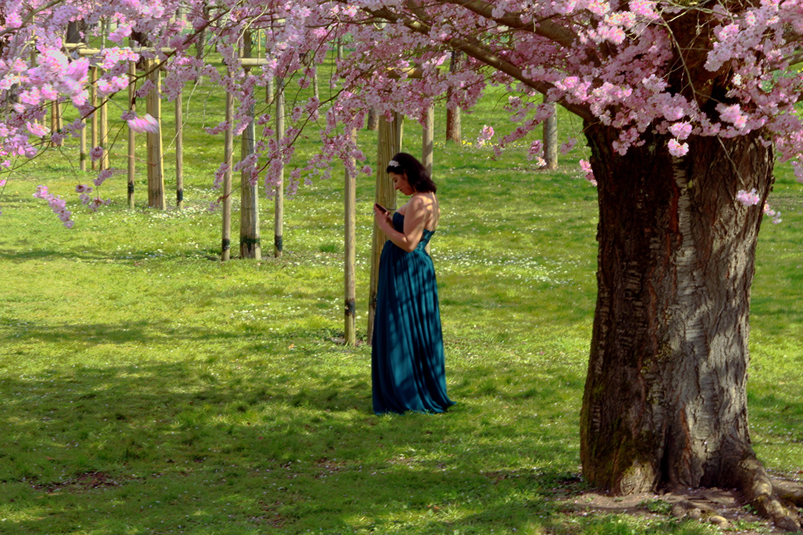 Influencerin unter einem Kirschblütenbaum