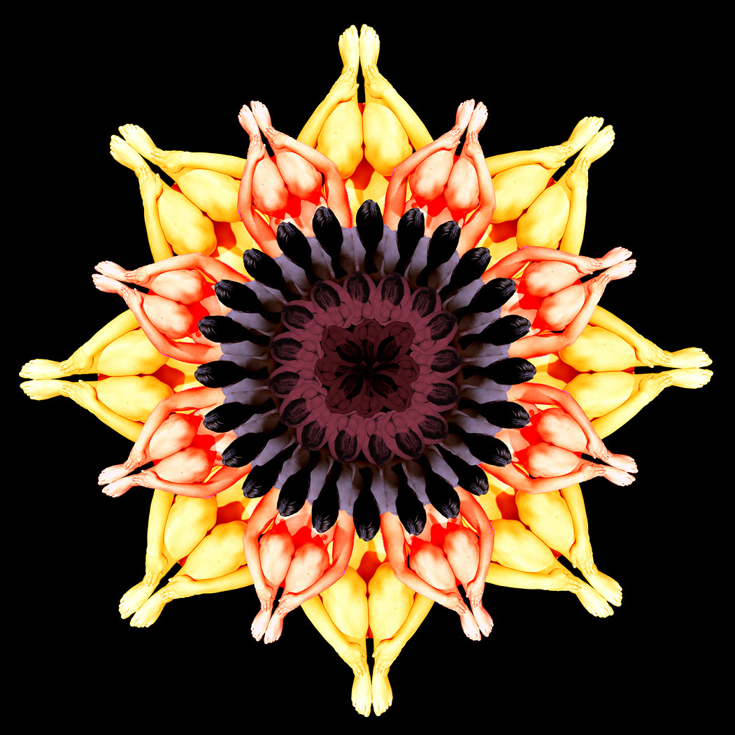 Sonnenblume