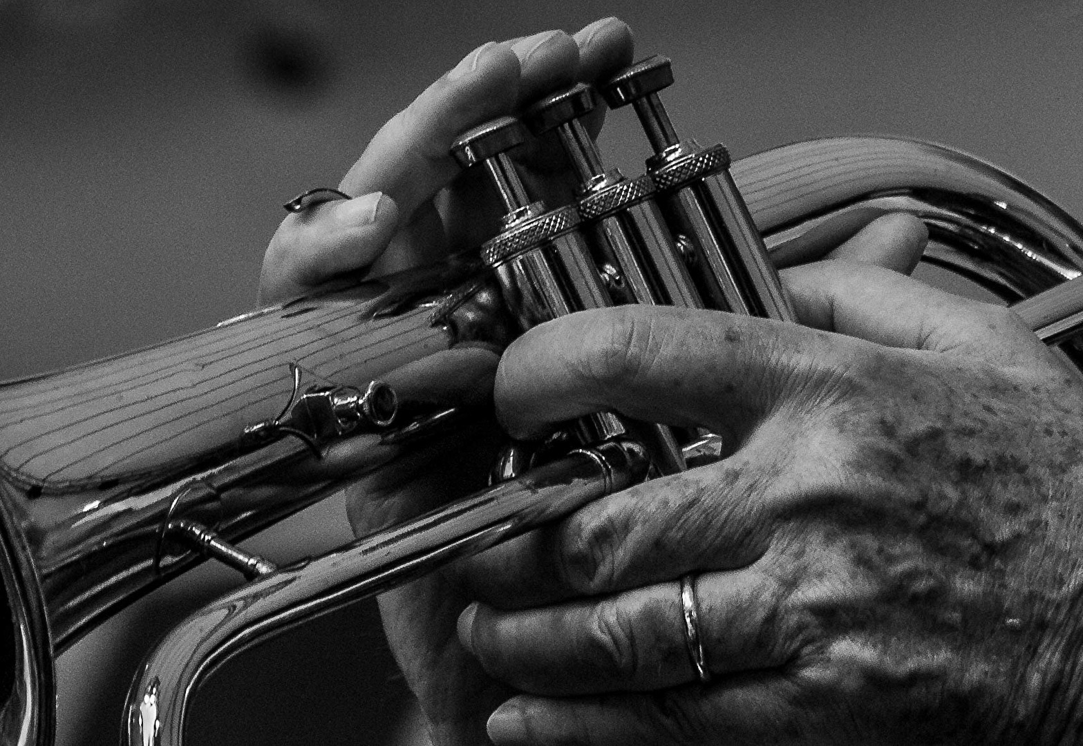 Hands of a Hornist