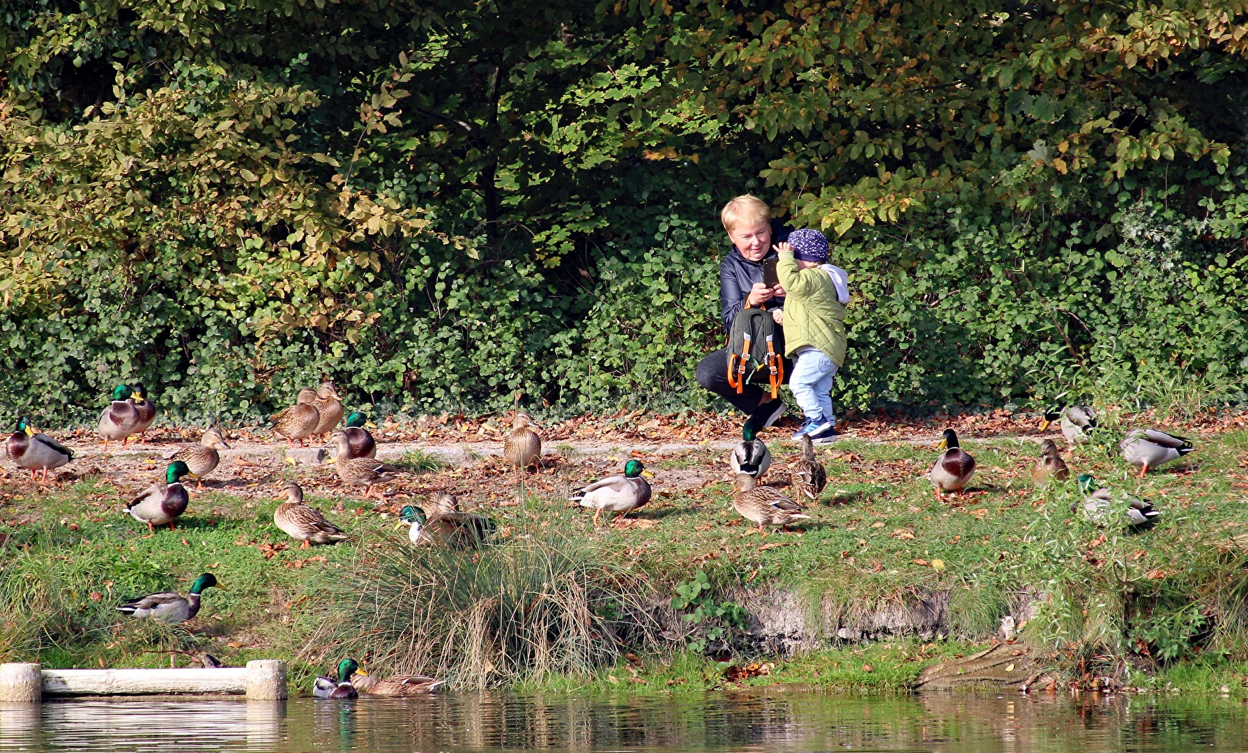 Spaziergänger im Stadtpark Braunsbedra
