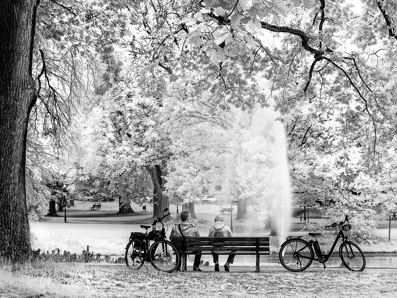 Begegnung im Park