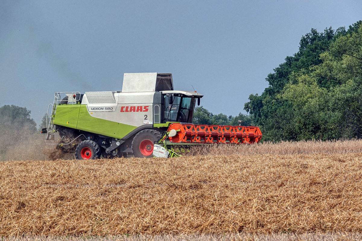 Bei der Ernte