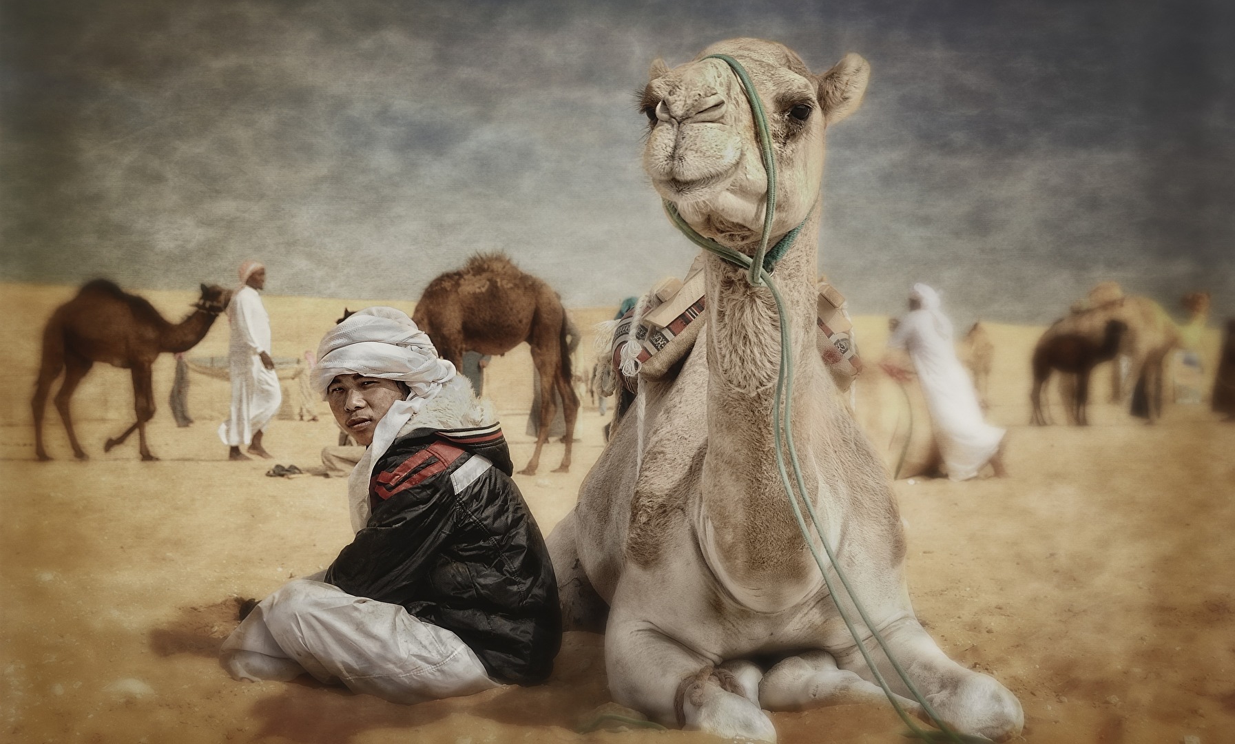 Irgendwo in Abu Dhabi