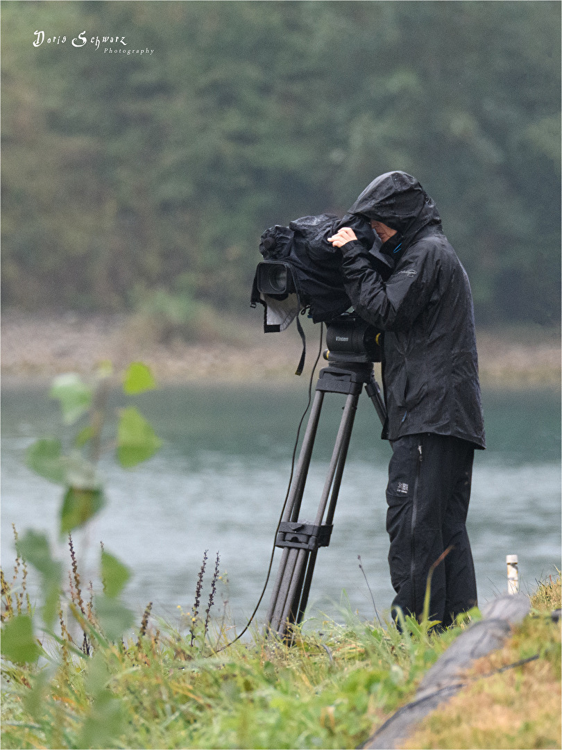 Es regnet Schusterbuben...