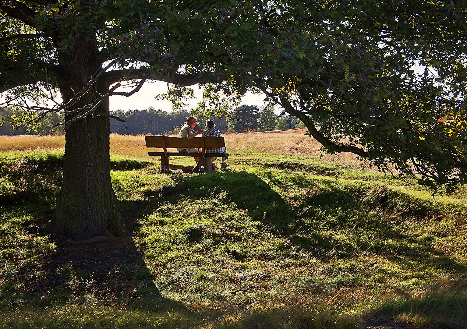 WESTRUPER HEIDE