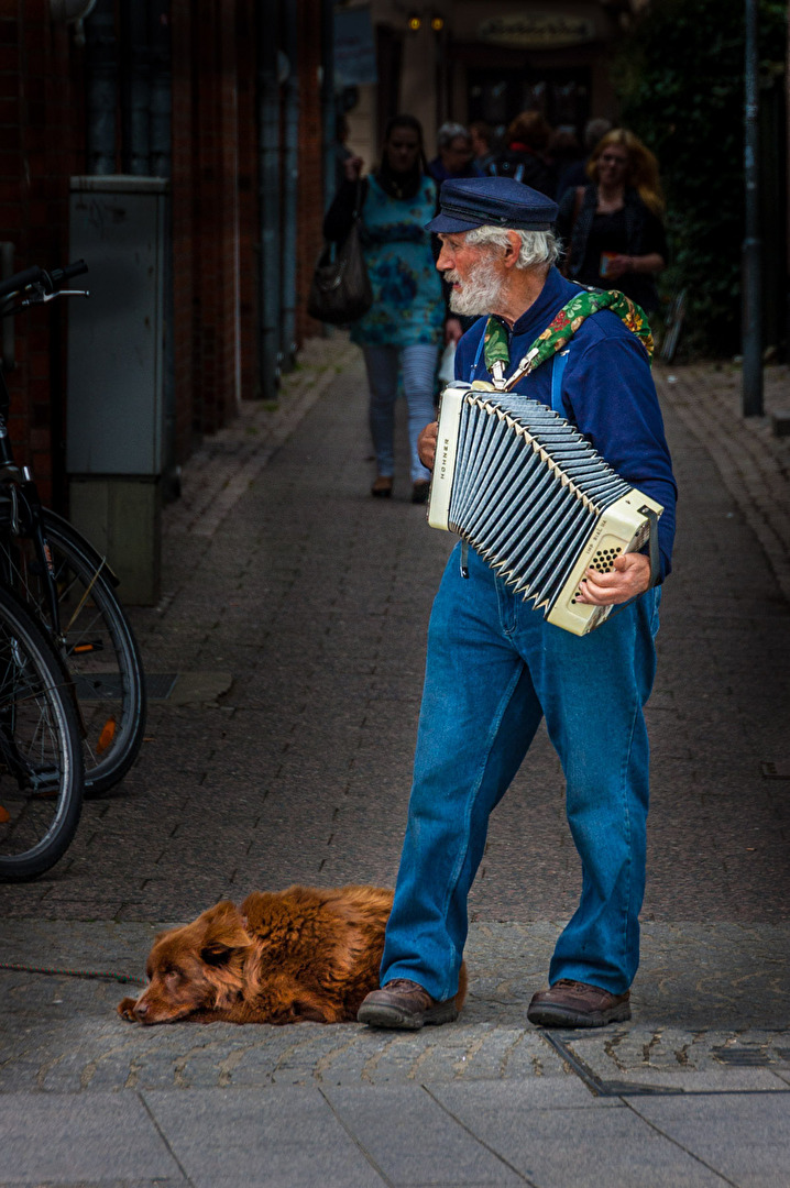 der Hund kennt jeden Ton