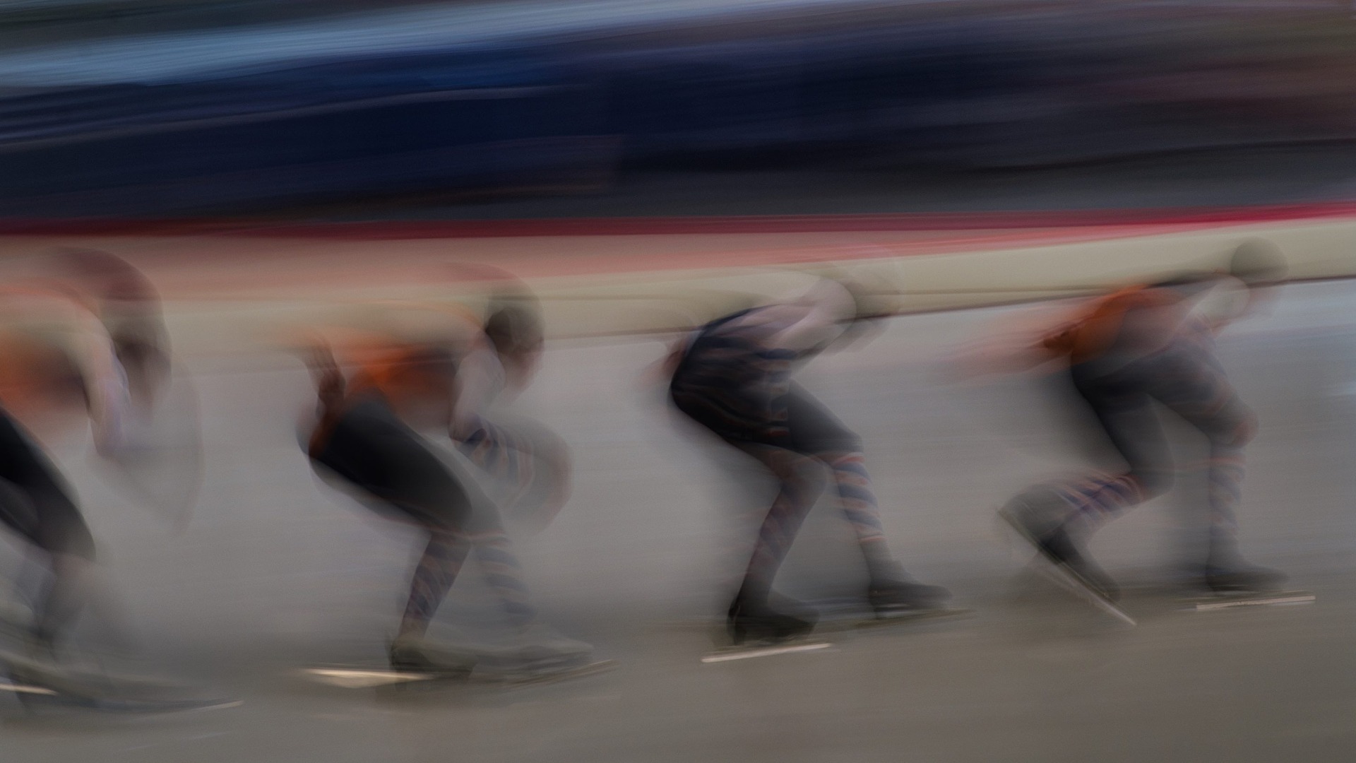 Die Entwicklung des Menschen