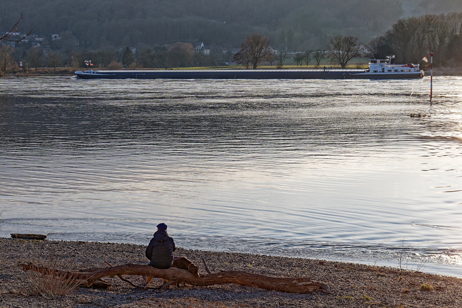 Hund und Herrchen am abendlichen Rhein