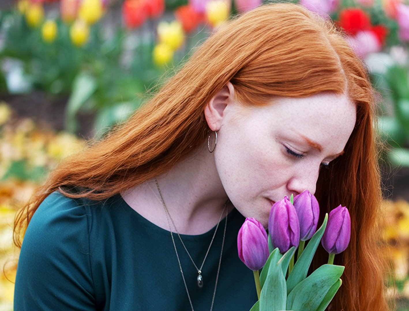 #Tulpen