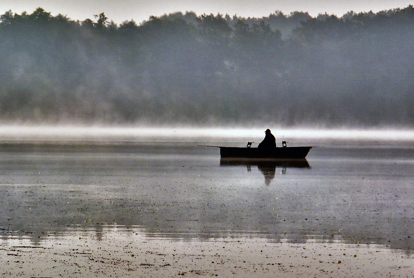 der Angler