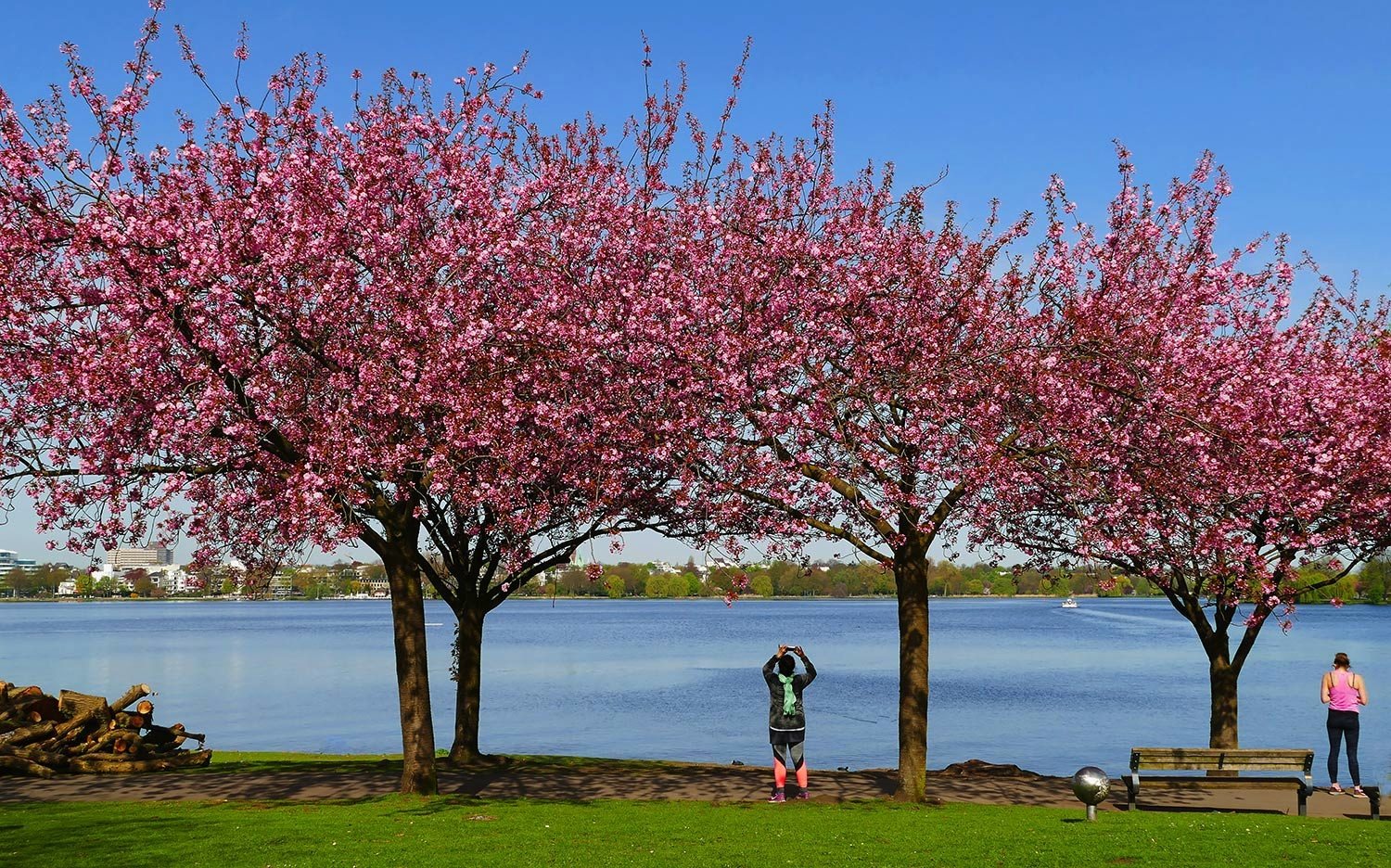 Frühling an der Alster