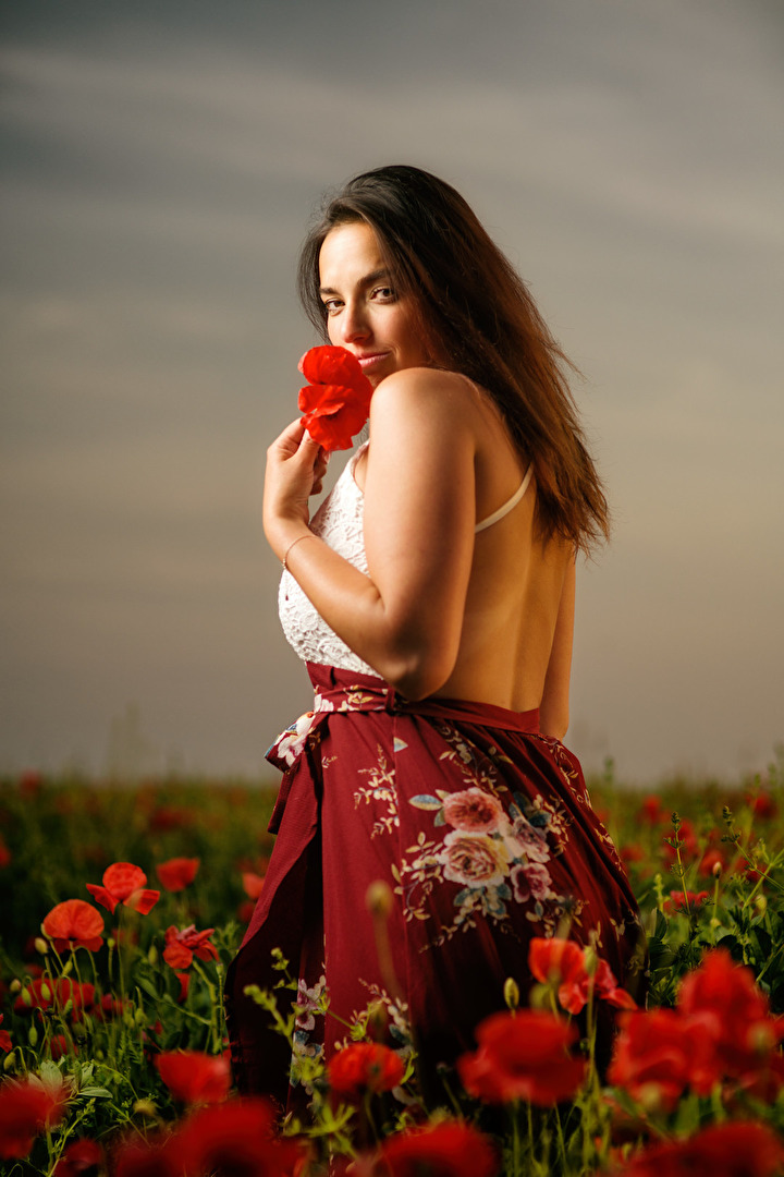 Freistellung  Mohnblume