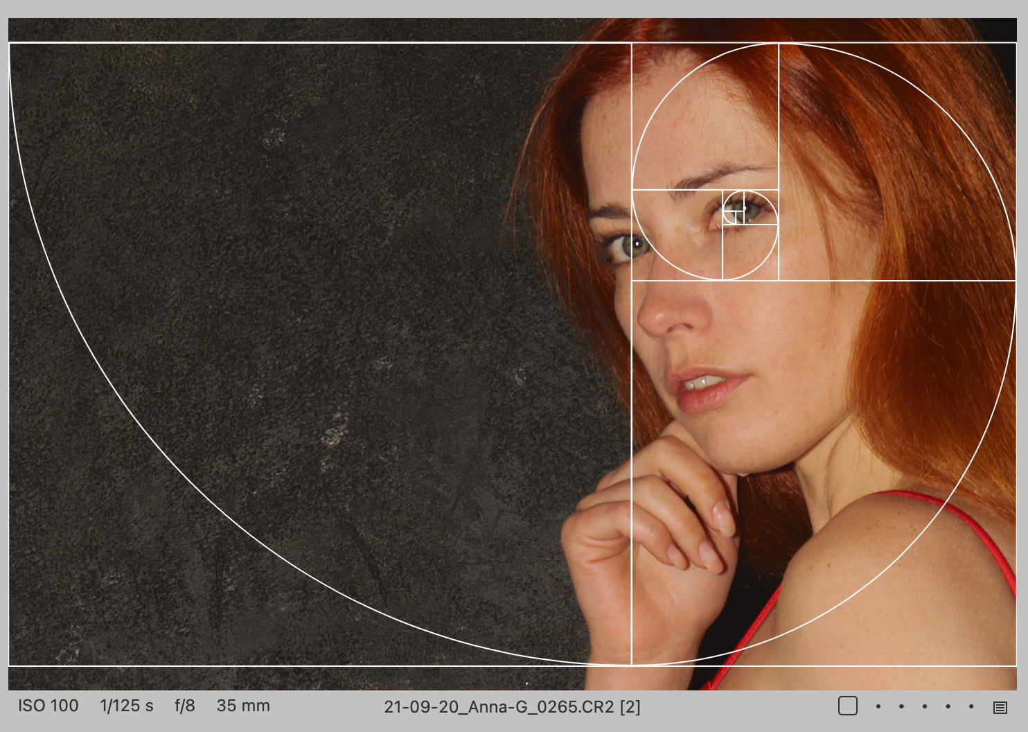 sichtbar die Fibonacci-Spiral