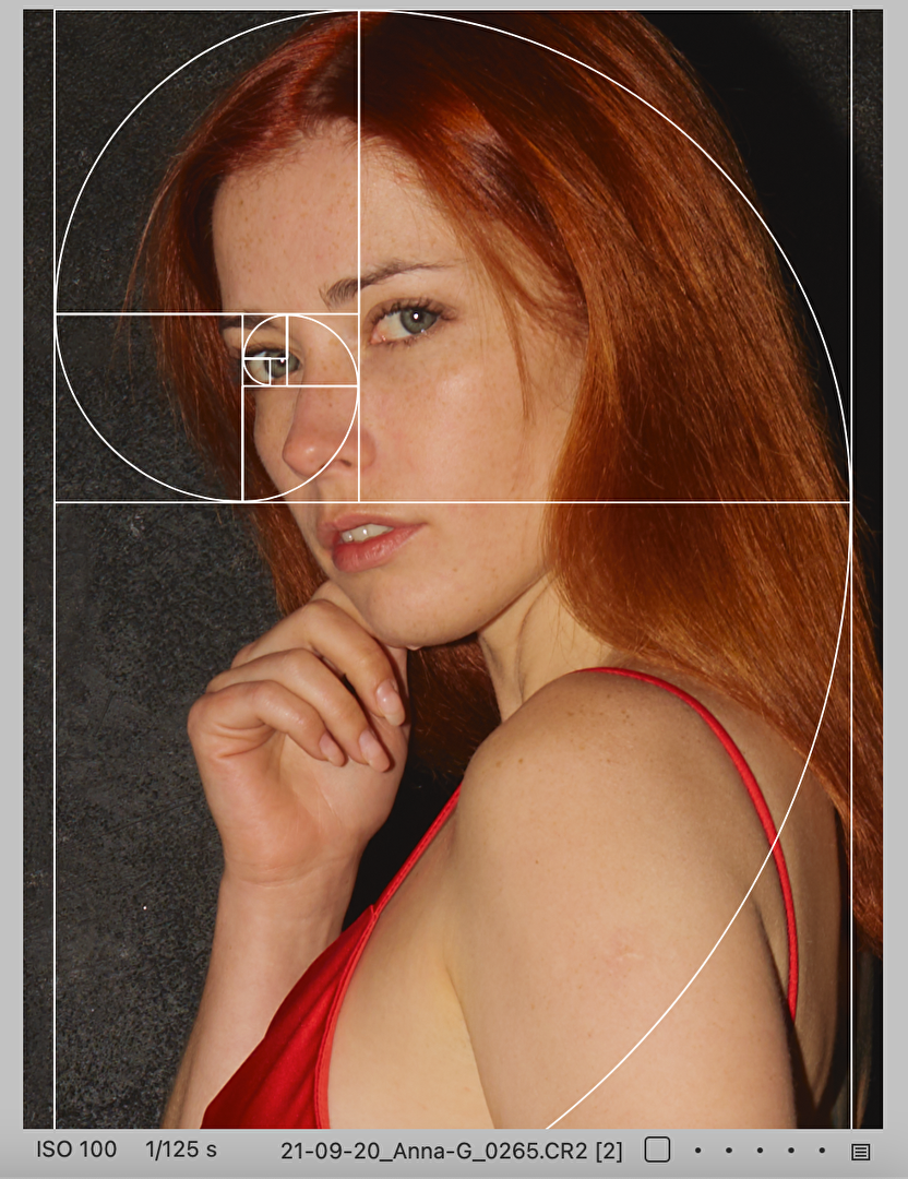 wieder sichtbare Fibonacci-Spirale