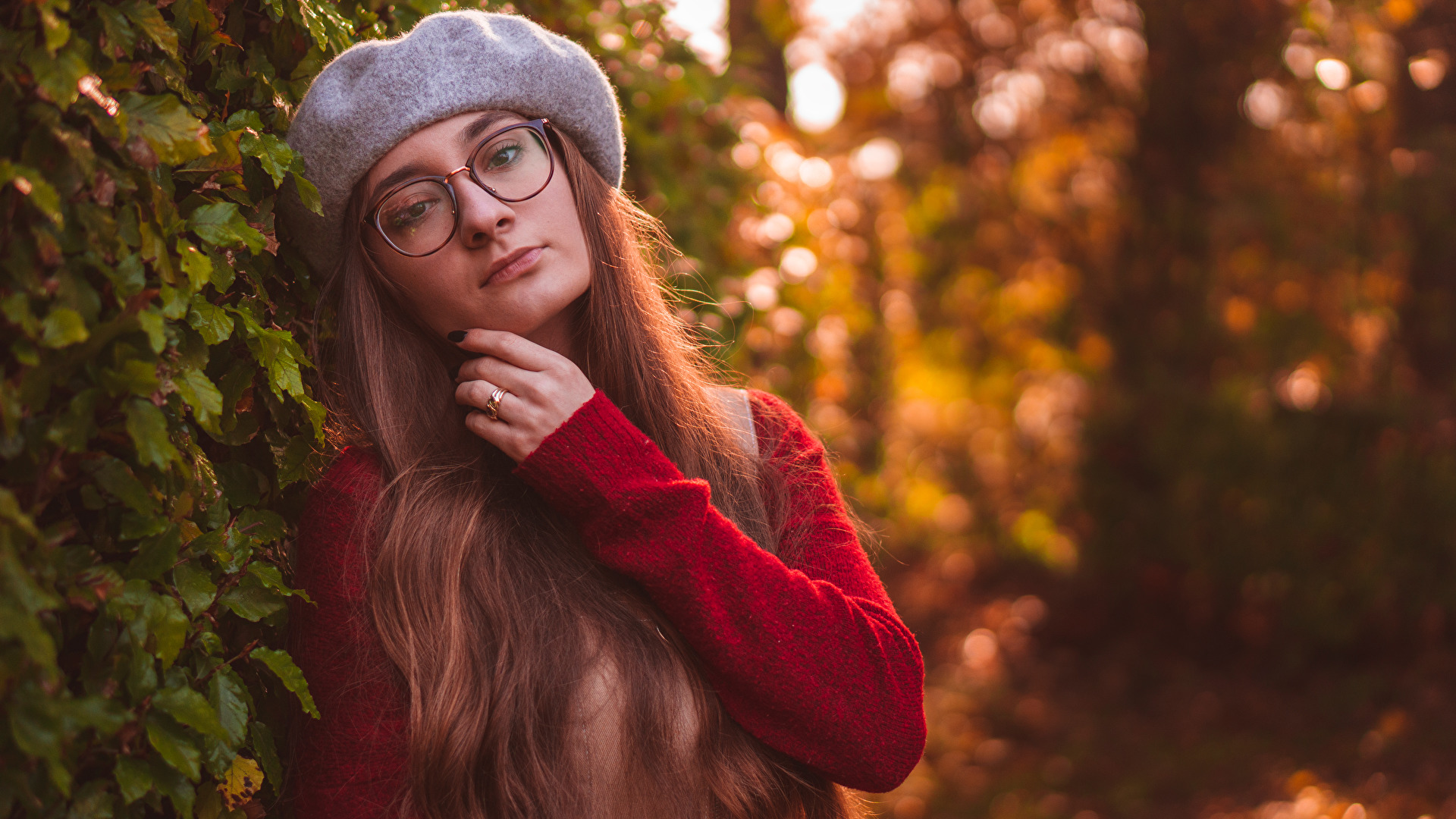 Herbstportrait in Harburg 1