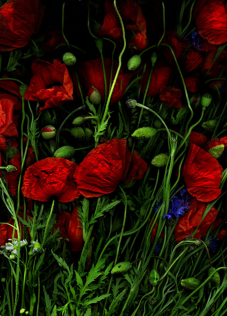 Art Floral