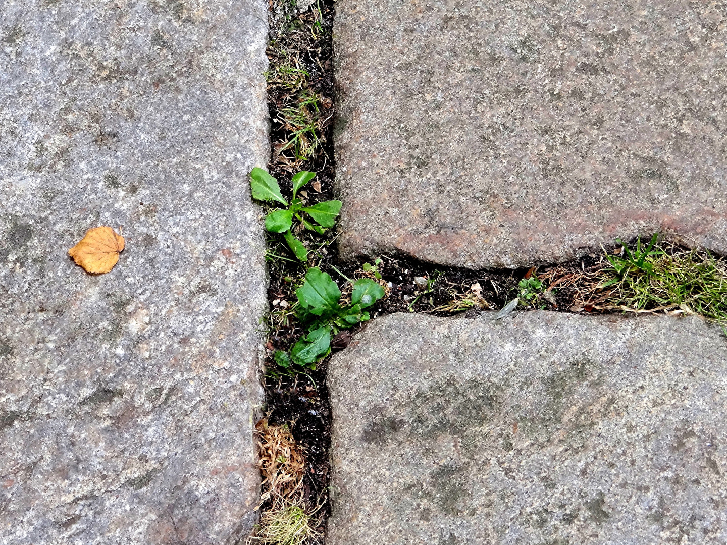 minimalistischer Lebensraum