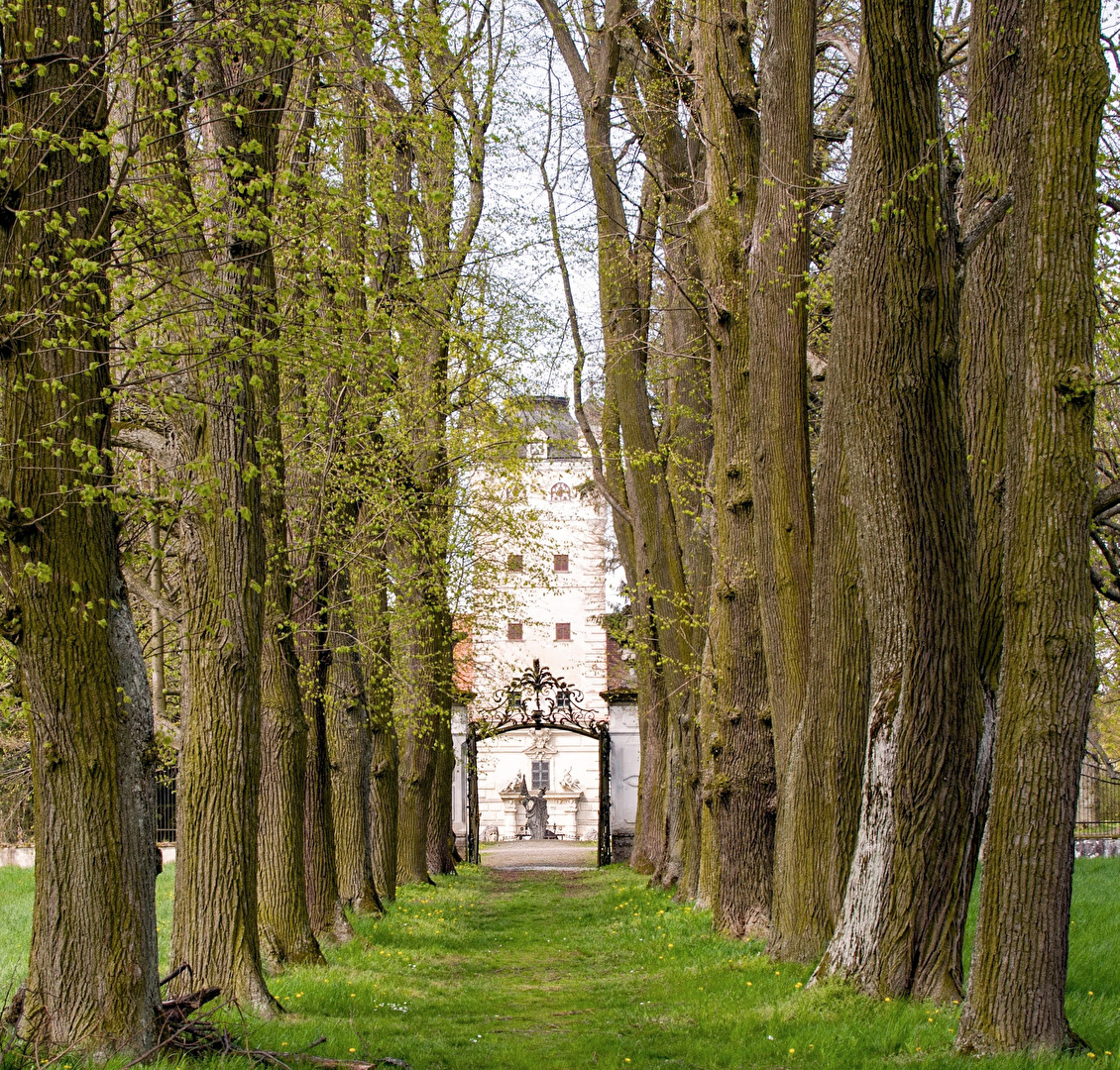 Schloss Greillenstein