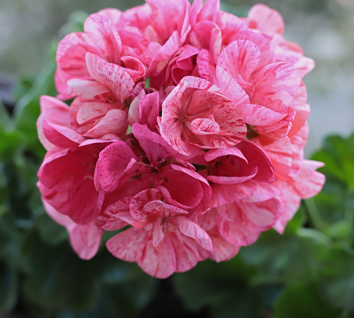 Ich wünsche allen Fotofreunden einen schönen Wochenstart und Woche