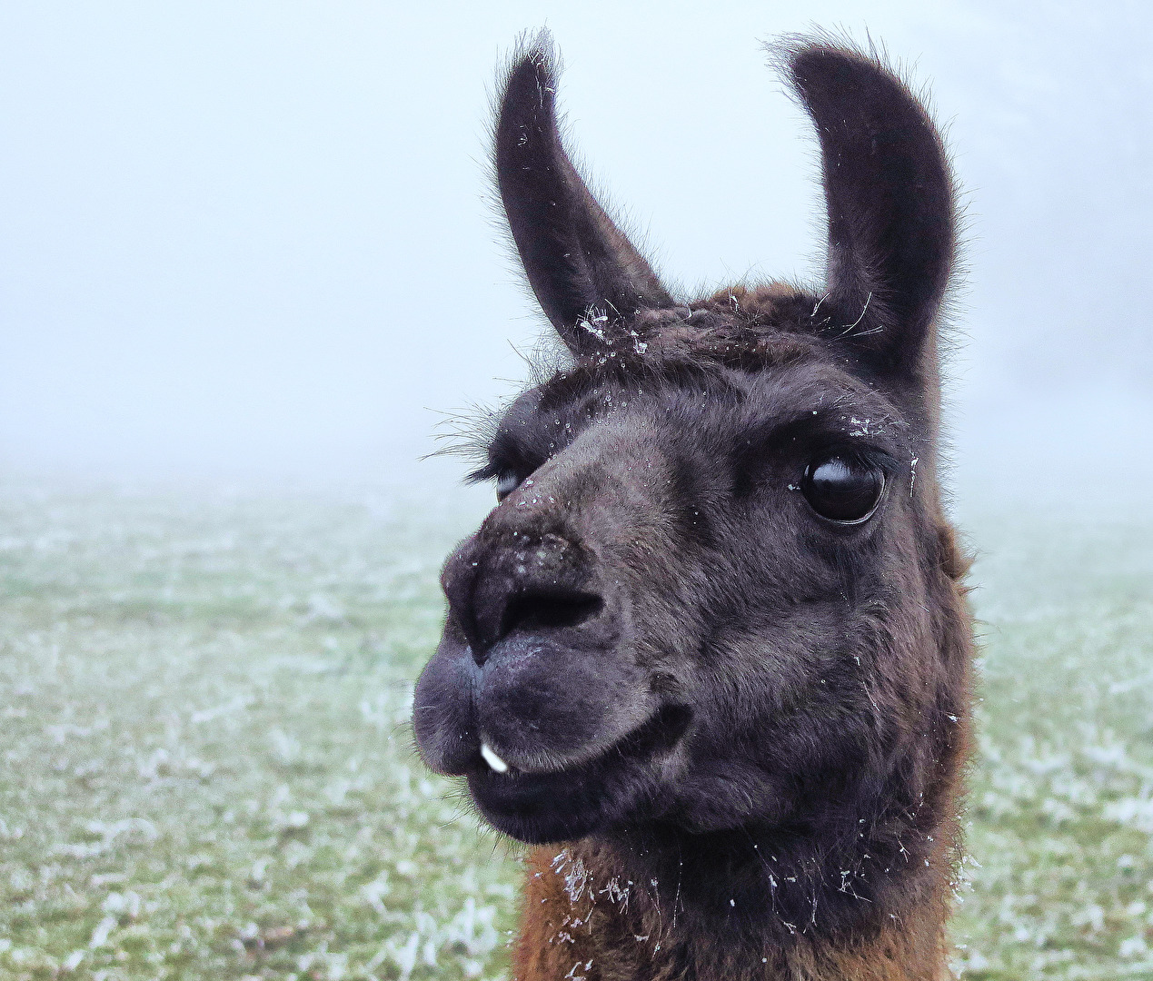 Nicht mein Wetter,  heute