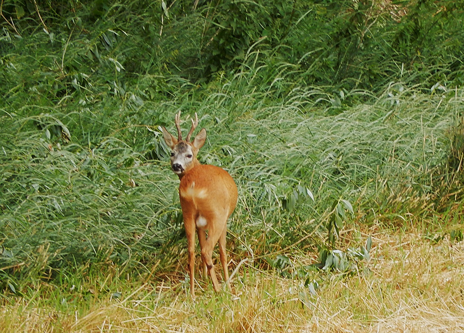 Blick zurück