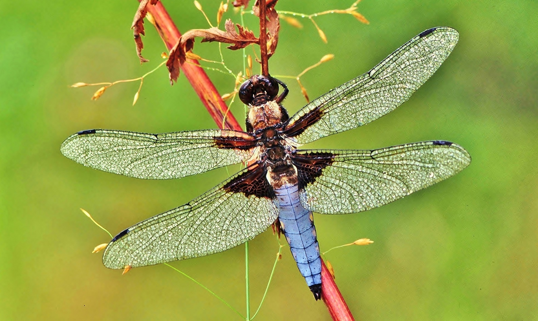 " Erst mal aufwärmen "