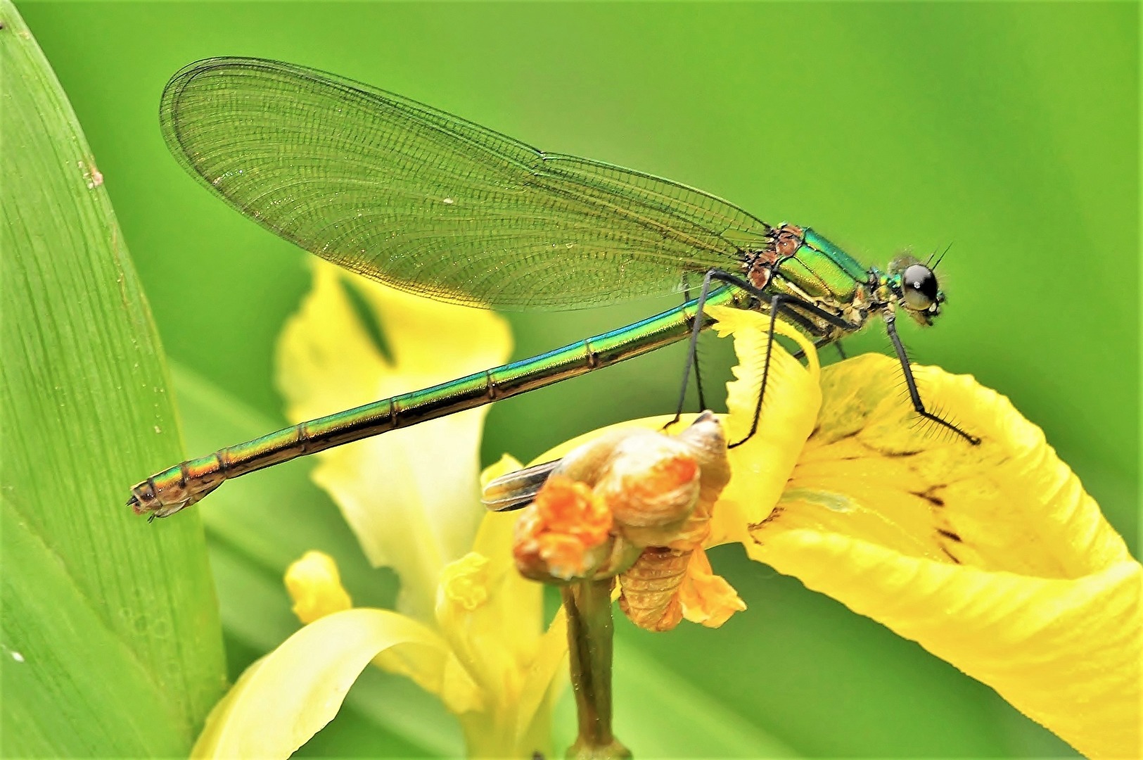 " Hier gefällt es mir "