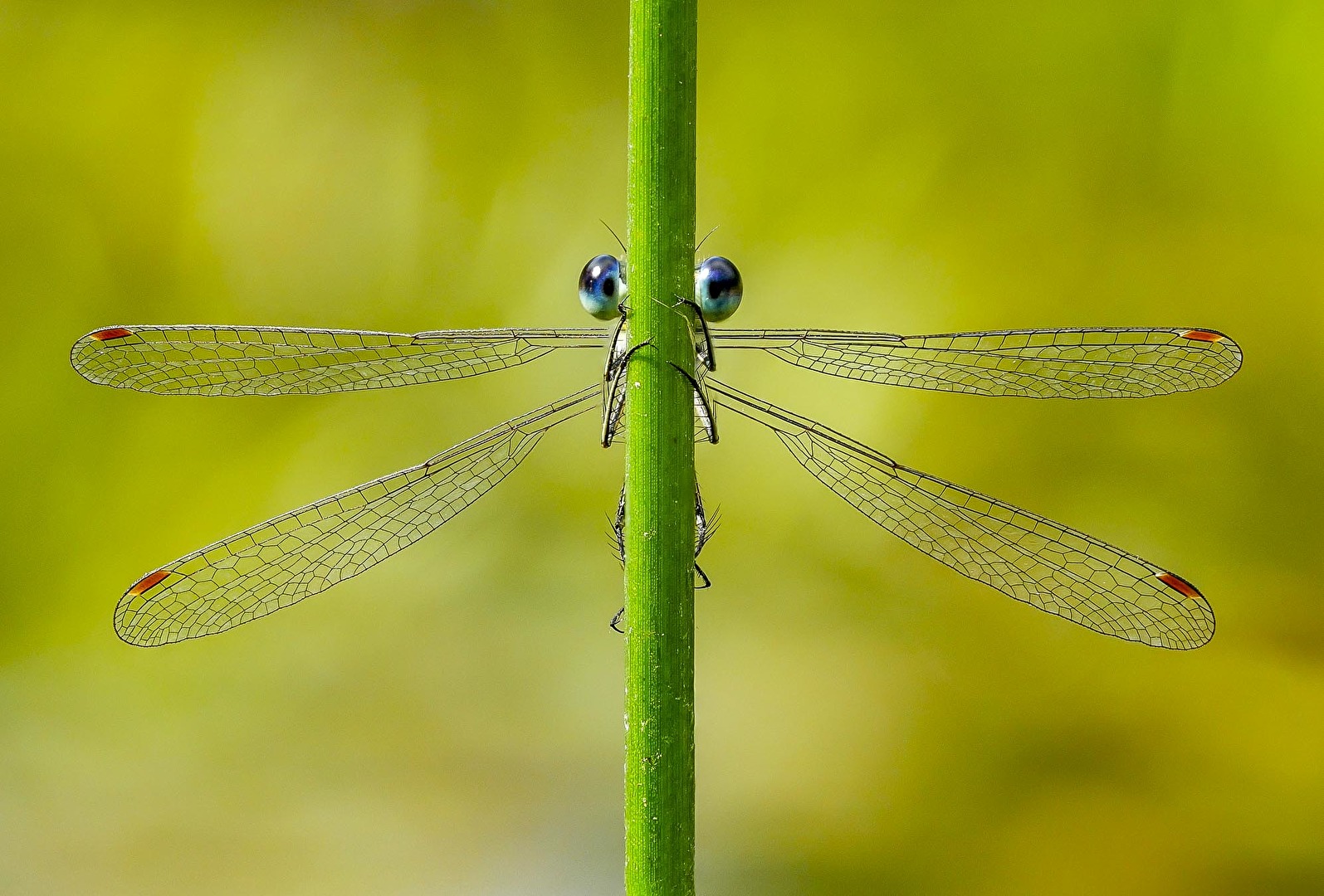 Du siehst mich - Du siehst mich nicht