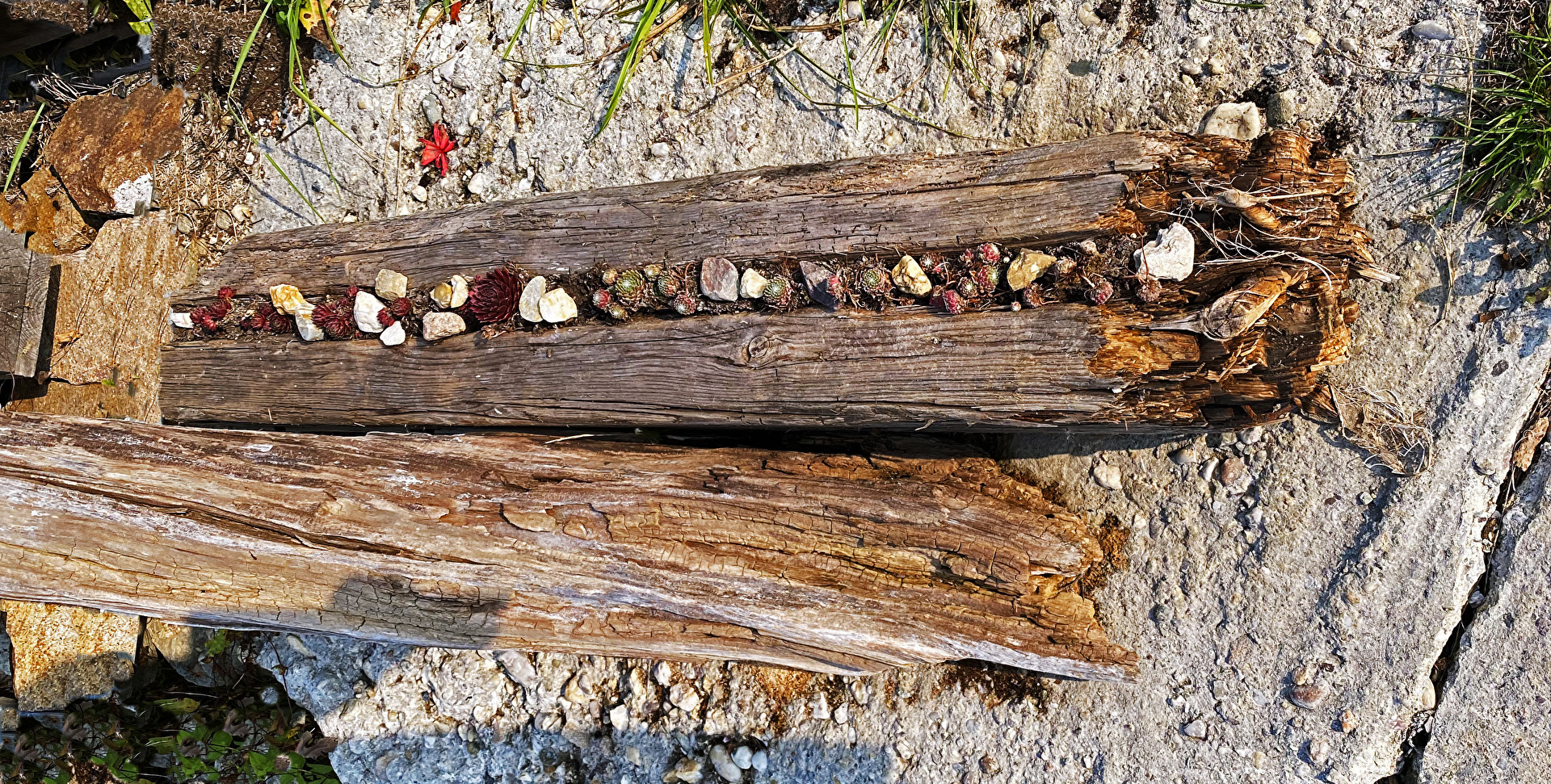 Decorative Wood