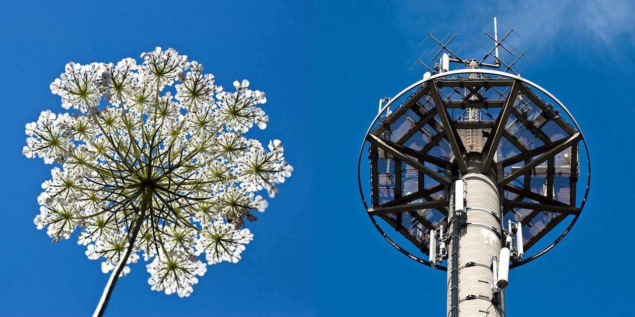 Natur und Technik...