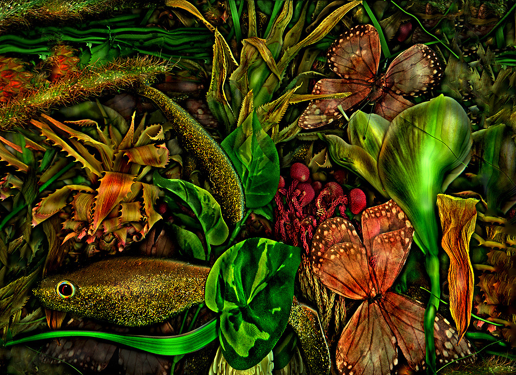 ..ein anderes Paradies...