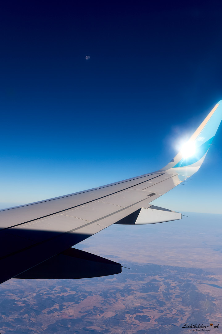 Moonflight