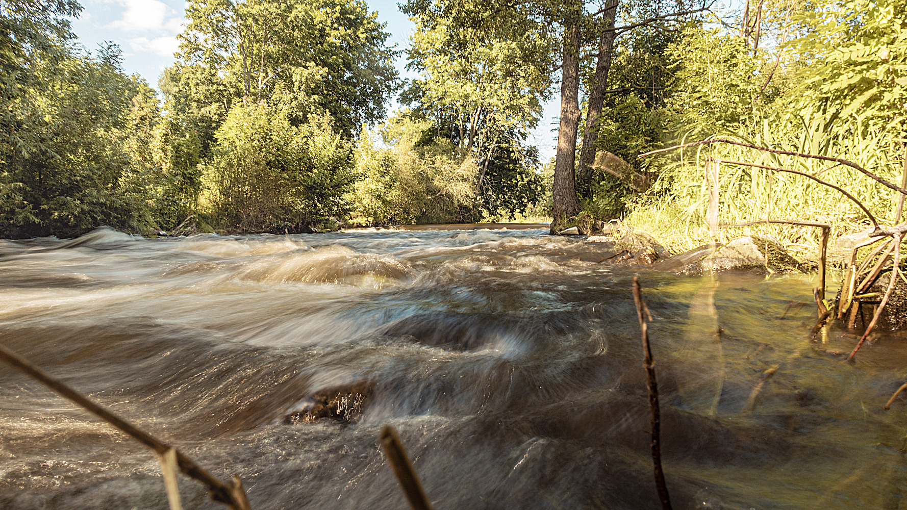 Wilde Water