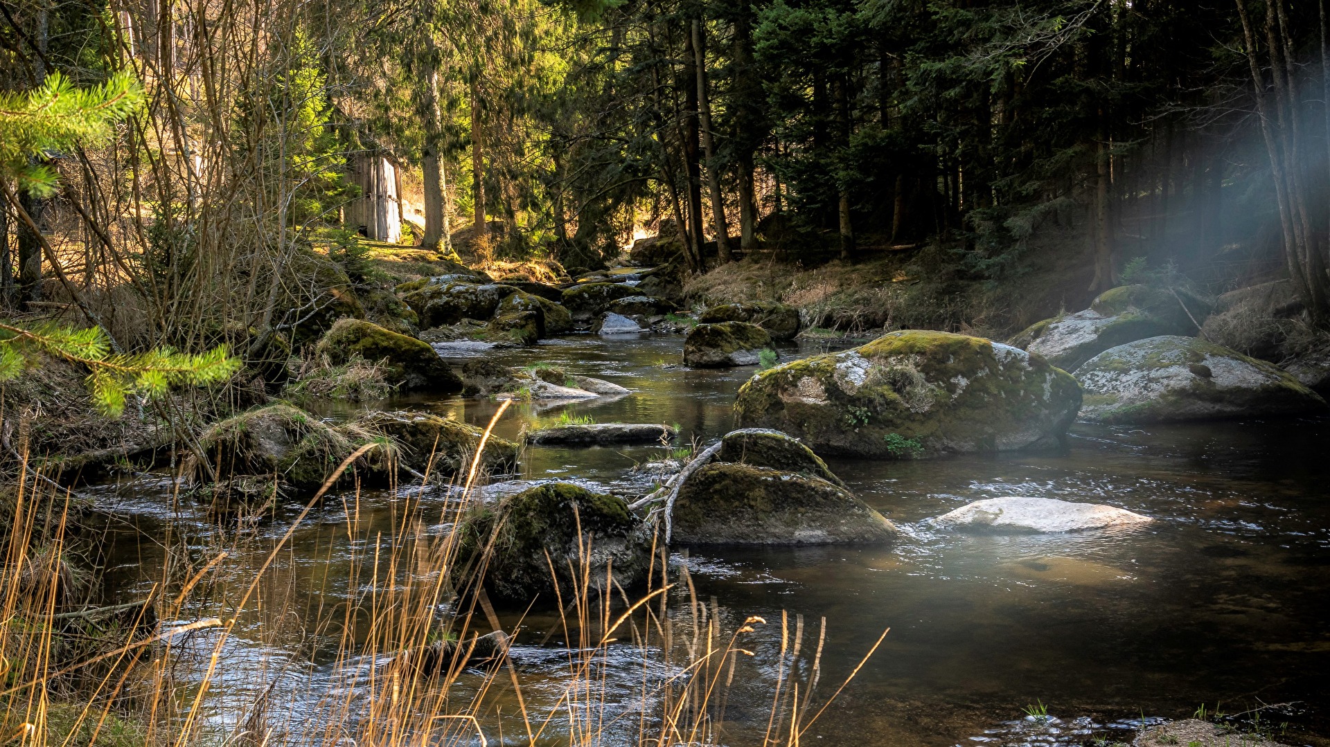 Kamp bei Utissenburg