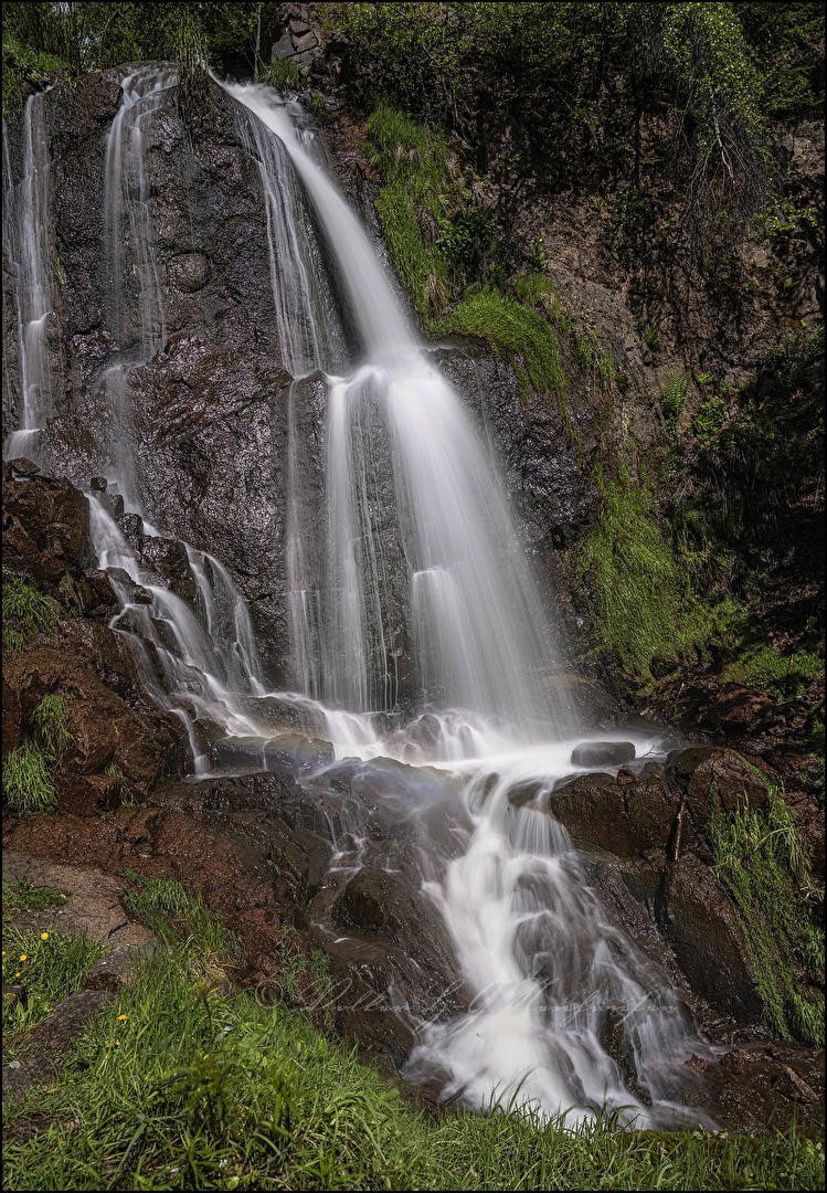 Wasser (Elemente)