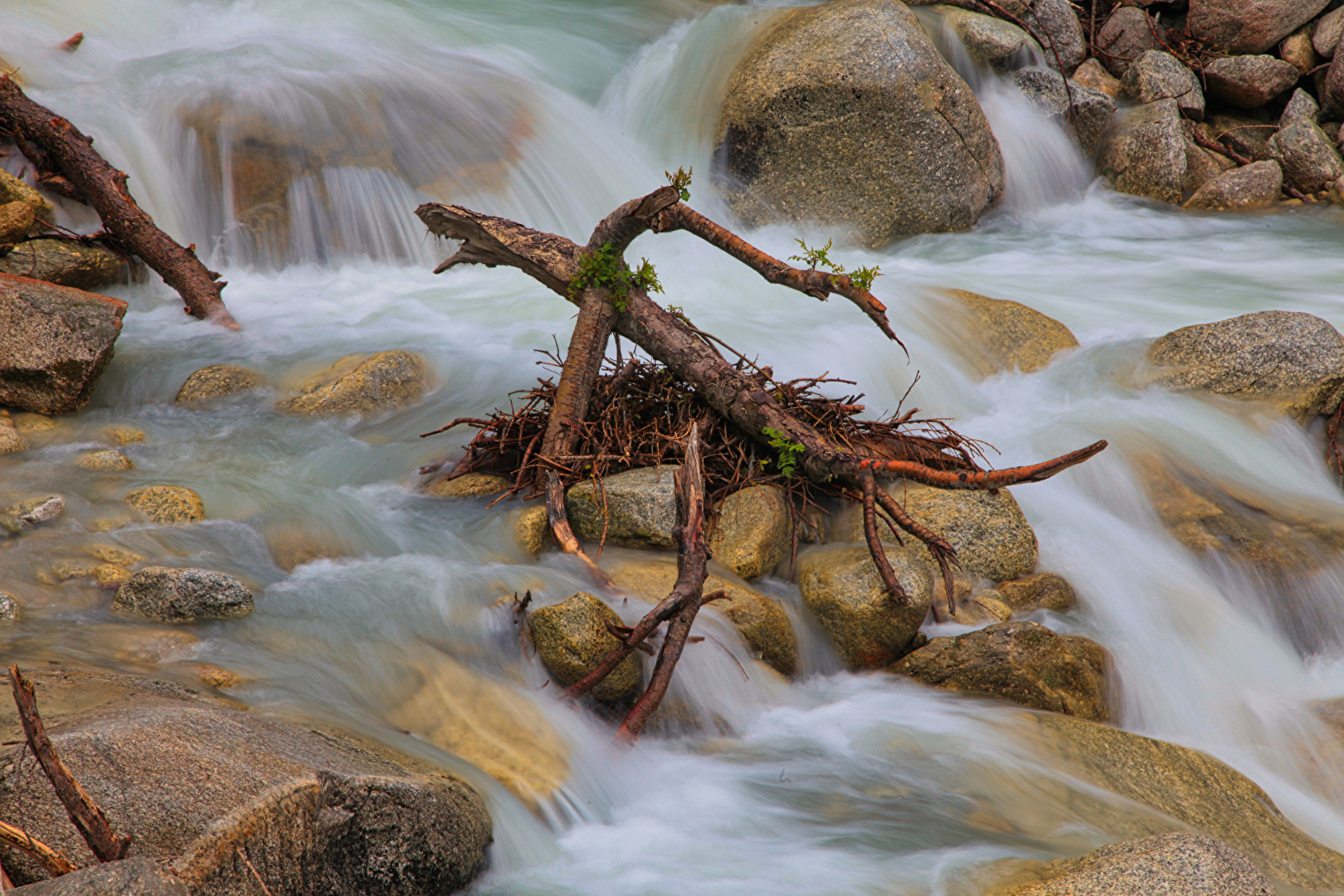 Wasser (Elemente)