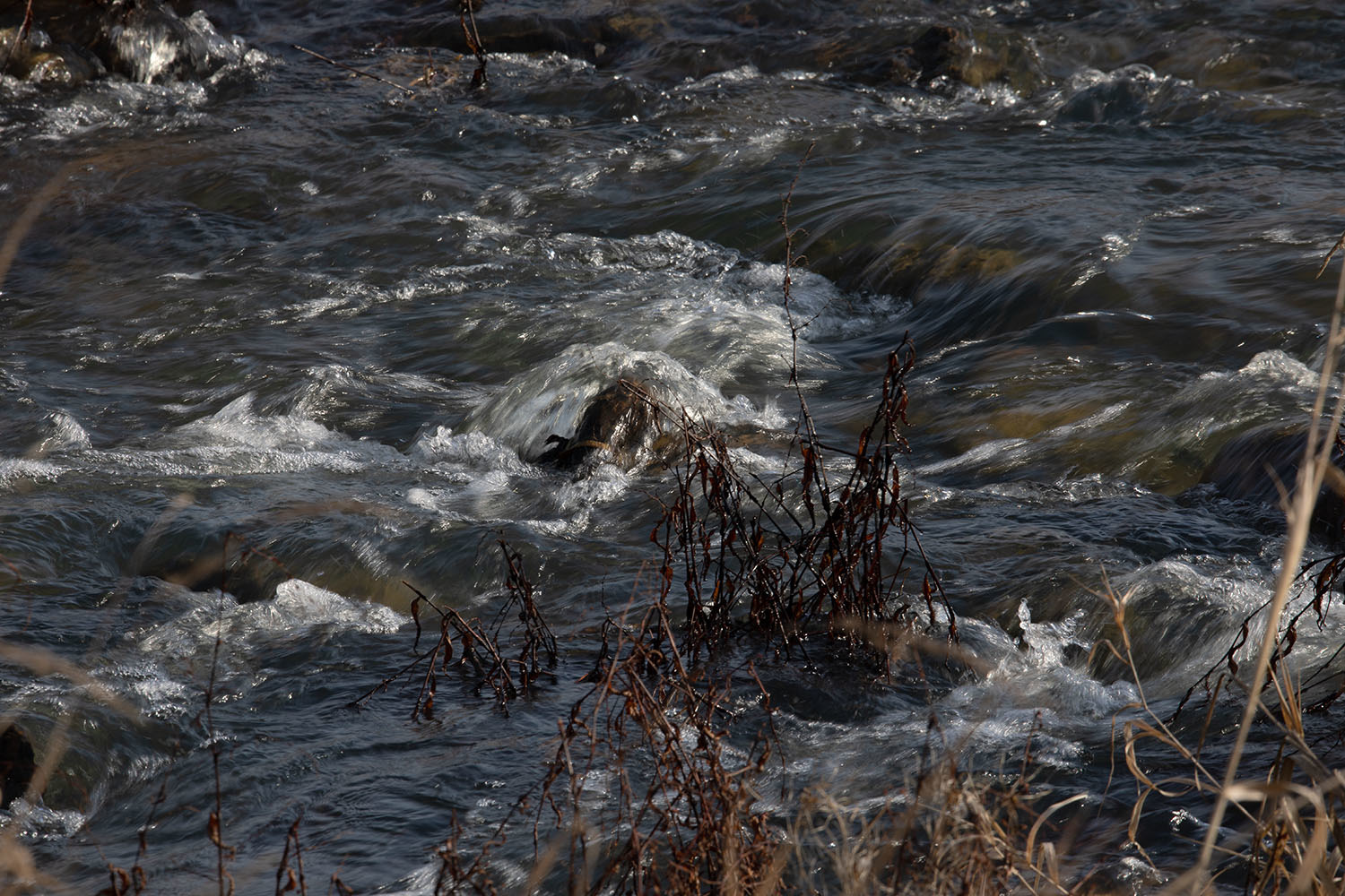 Wasser, endlich wieder da