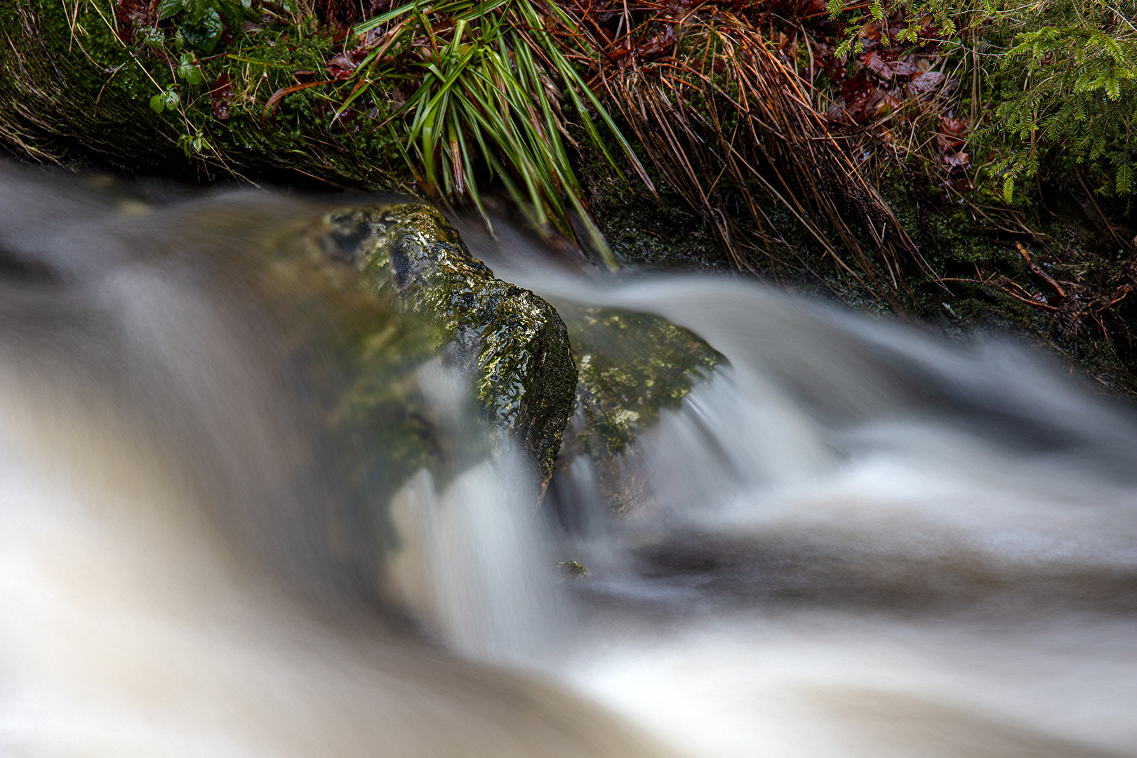 La roche dans l'eau