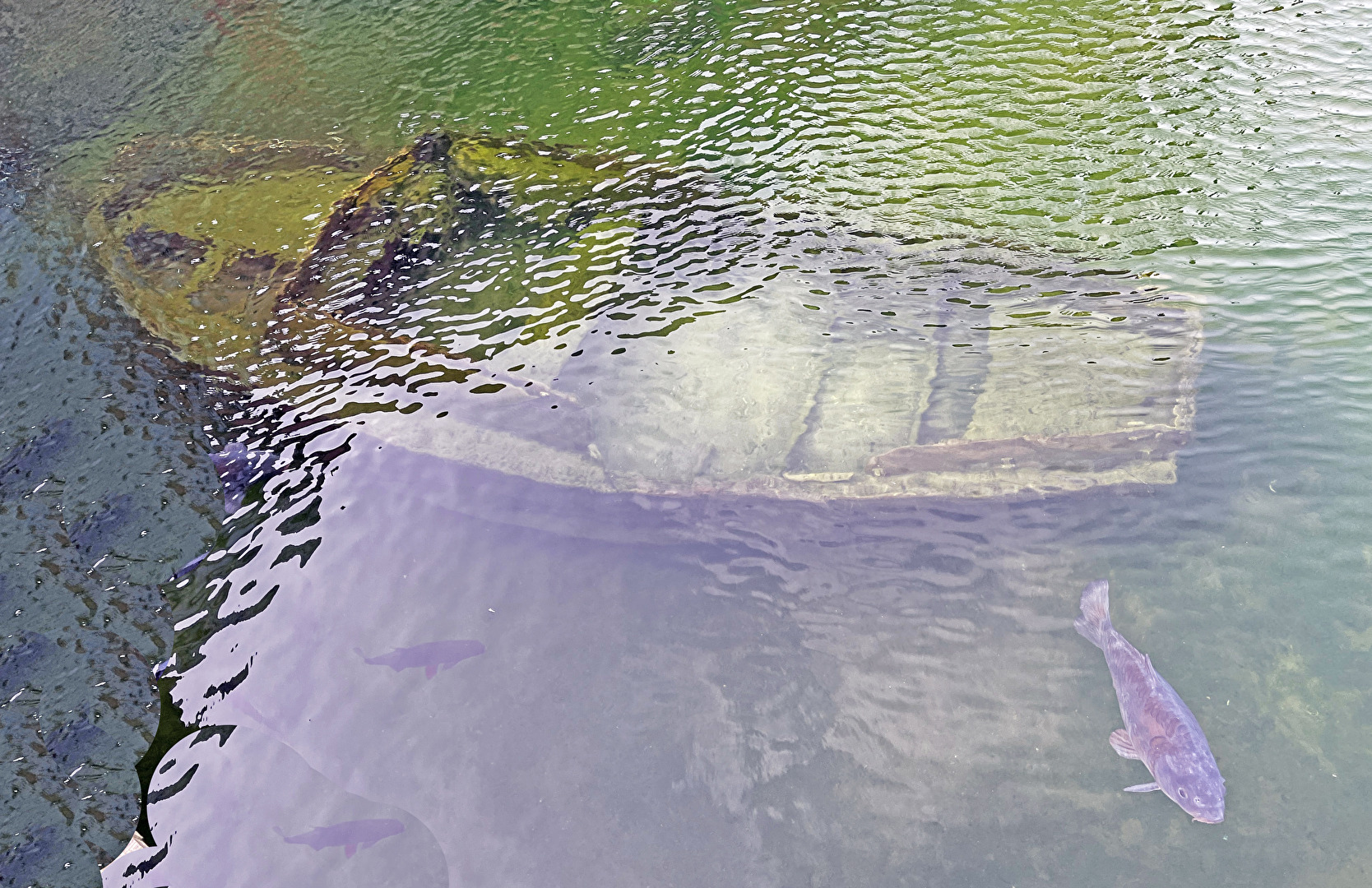 #Boote #Unterwasser / im Wasser...