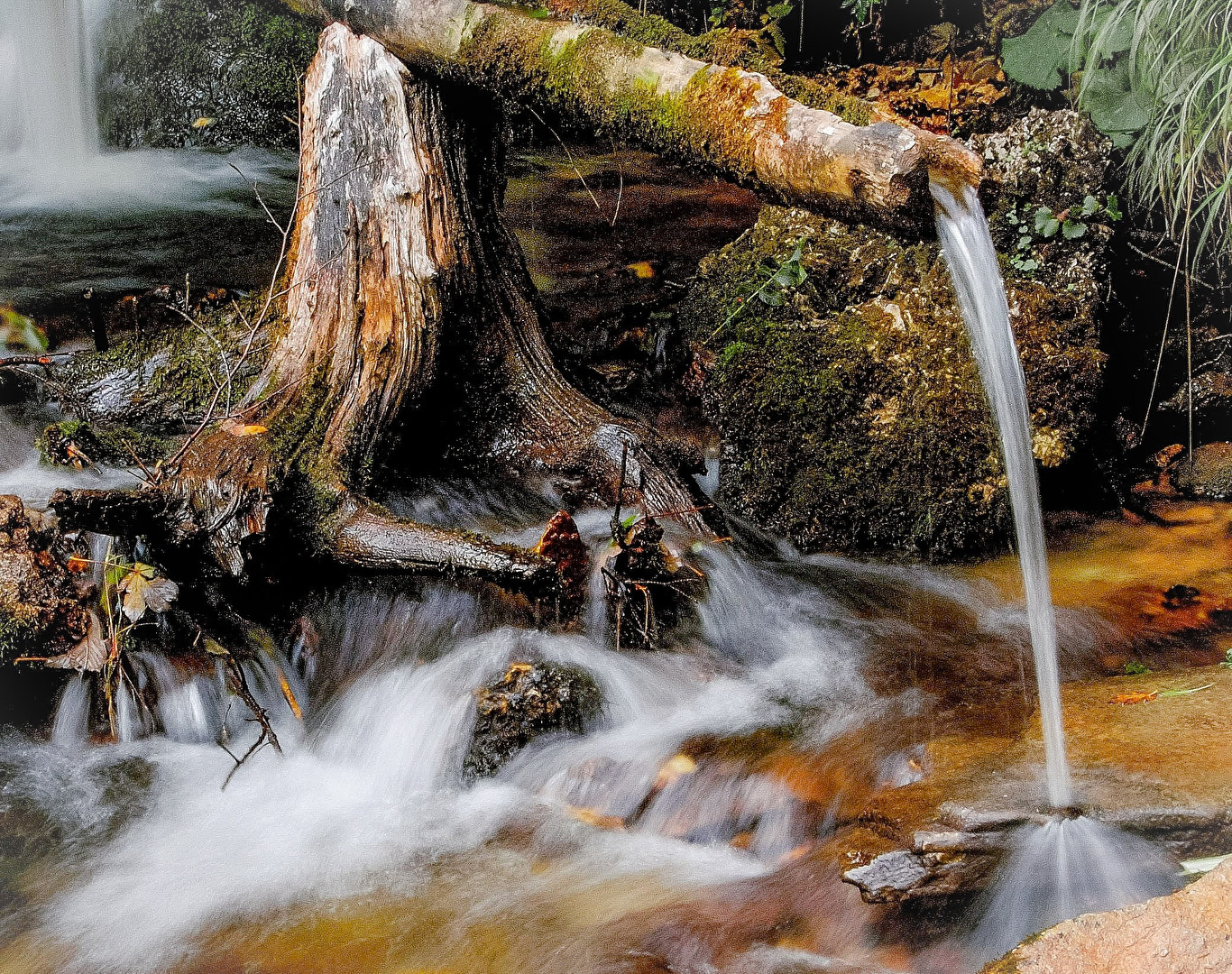 Lebendiges Wasser 2