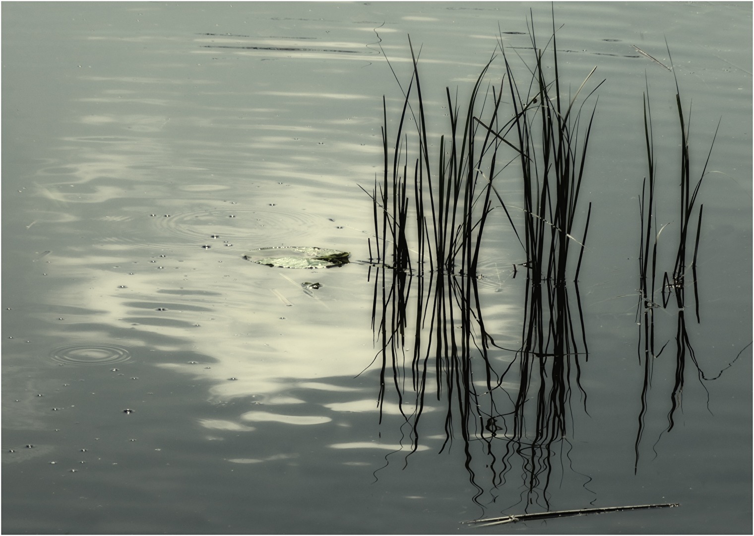 Friedlicher Weiher