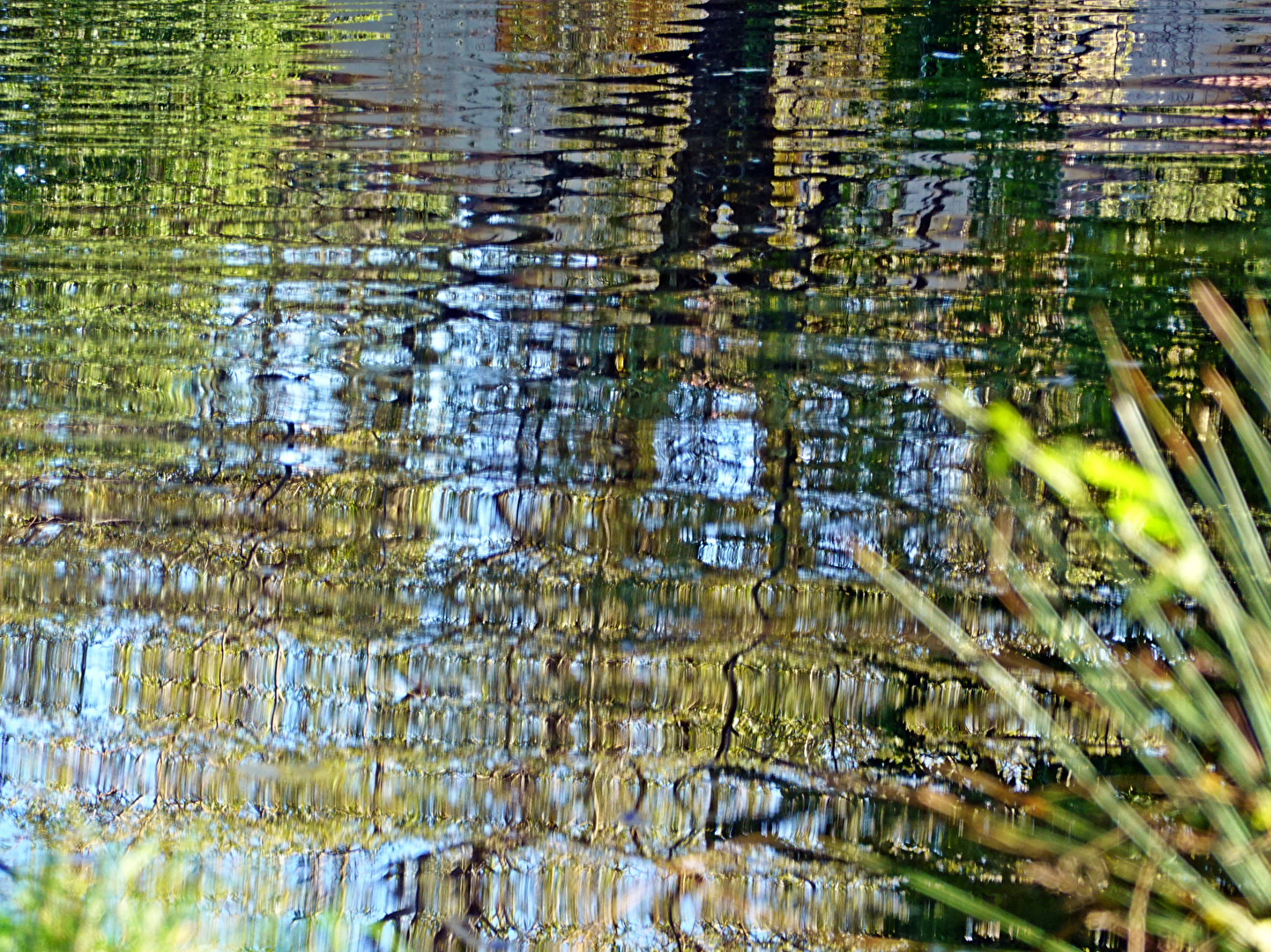 Wasser (Elemente)