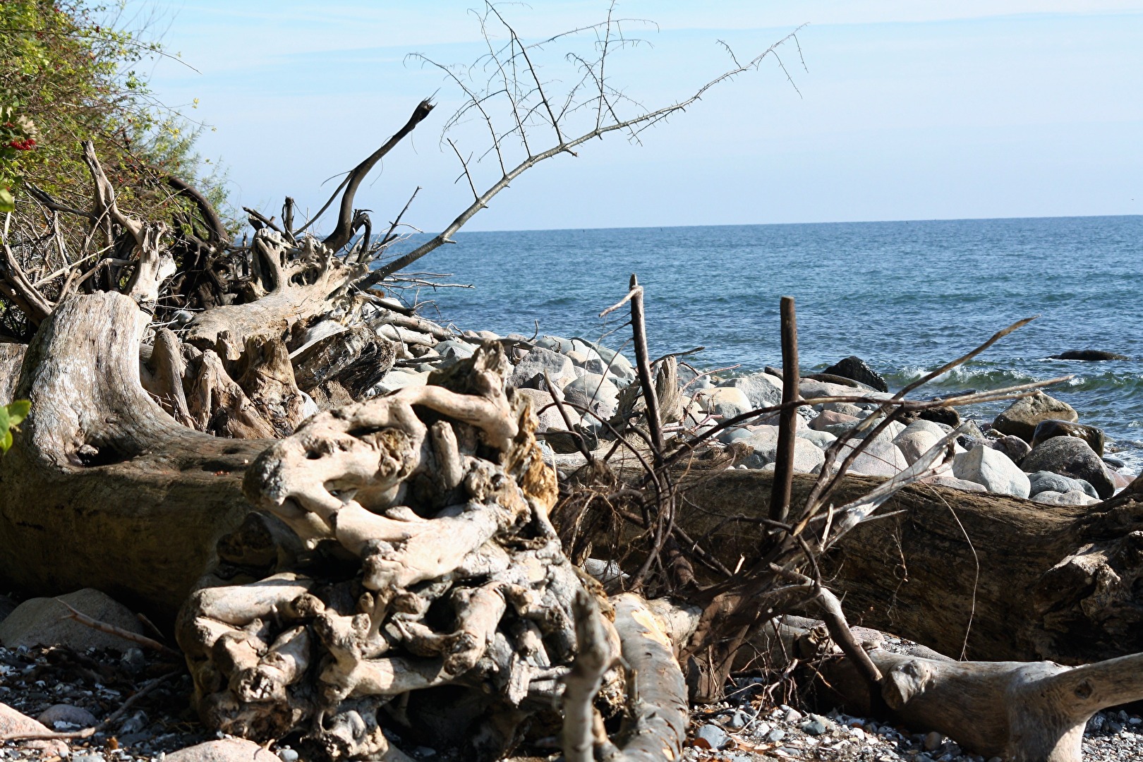 die Ostsee