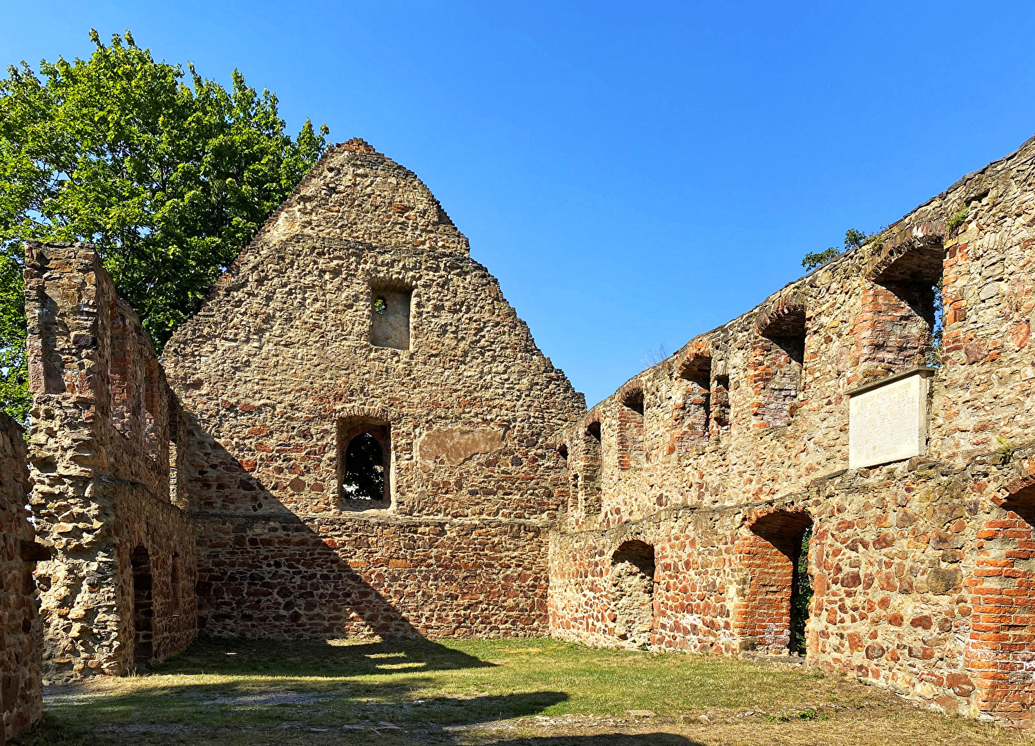 Klosterruine Nimbschen