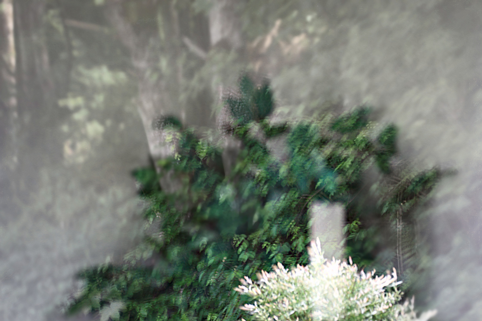 #Kerzenlicht...wird aber erst am Abend angezündet 😅 😂