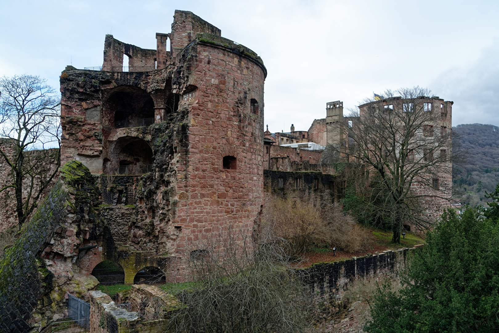 Schloss Heidelberg