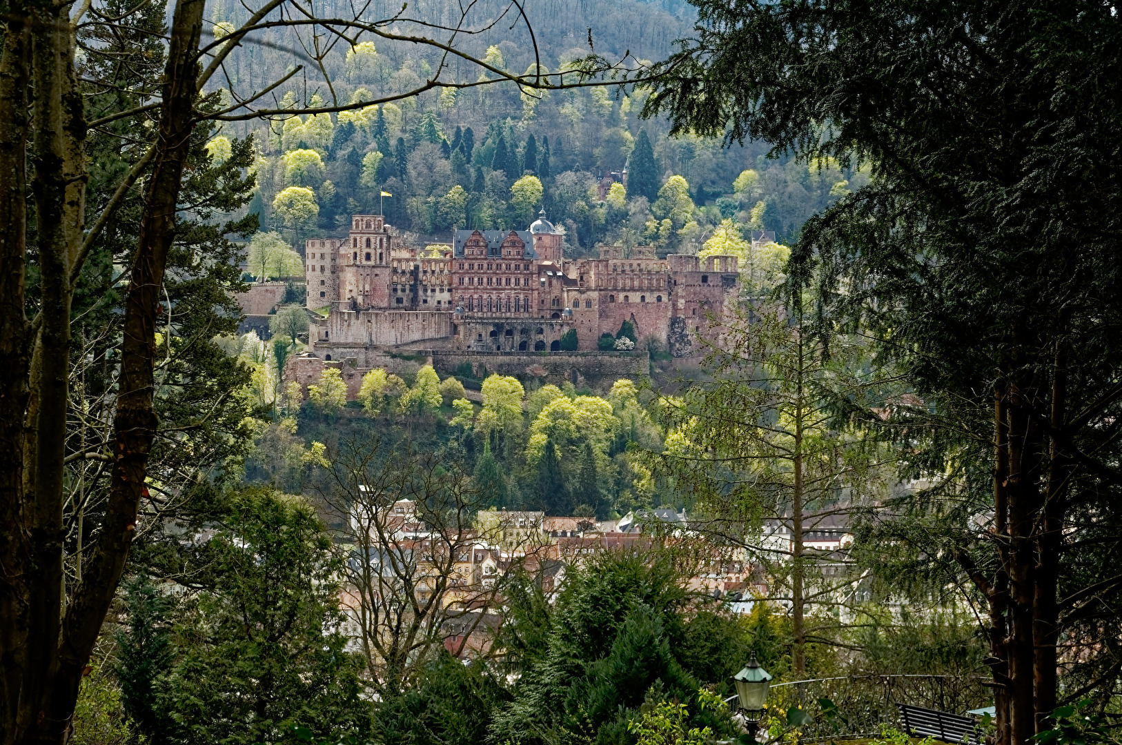 Schloss Heidelberg